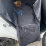 کاور ماشین سگ و گربه و کودک 1439 - تصویر 2