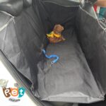 کاور ماشین سگ و گربه و کودک 1439 - تصویر 6