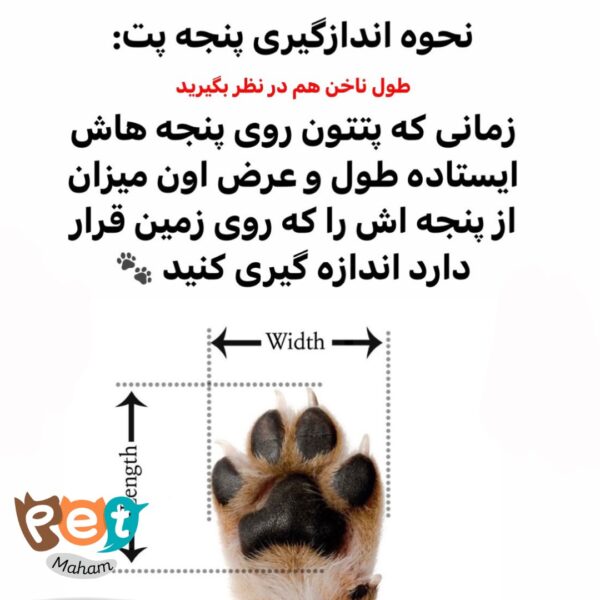 کفش کتونی رنگ طوسی 1744 - تصویر 6