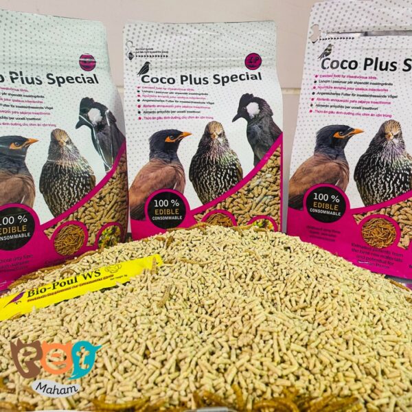 خورک مرغ مینا کوکو همراه با جایزه 1259 - تصویر 7