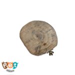 نشیمن تنه درخت پرنده سایز بزرگ کد 1497 - تصویر 4