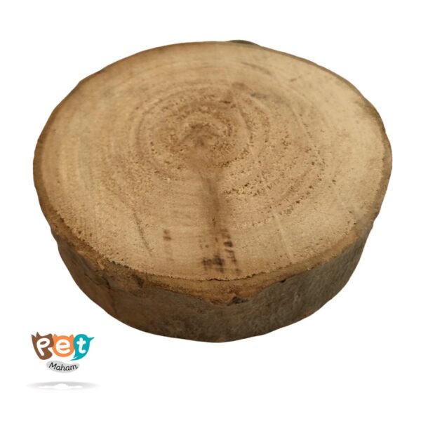 نشیمن کالباسی چوبی سایز کوچک1194 - تصویر 3