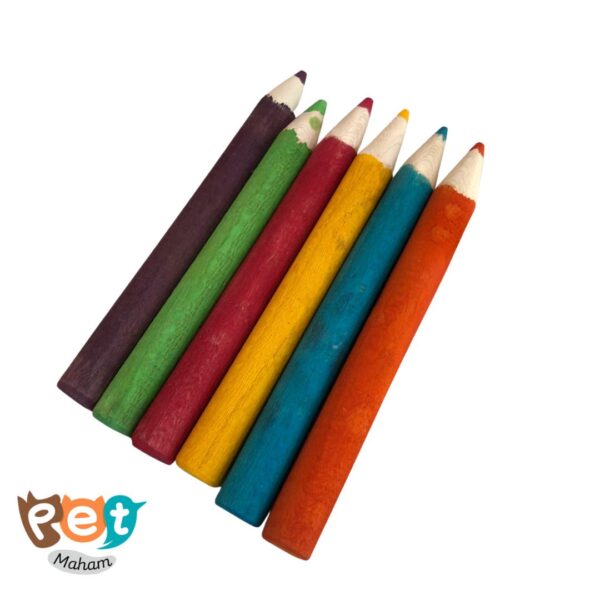 اسباب بازی چوبی پرنده مدل مداد طوطی کد 1578 (بسته 6 عددی) - تصویر 2