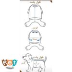 بارانی سگ و گربه و جونده دارای کمربند و کلاه 1614 - تصویر 3
