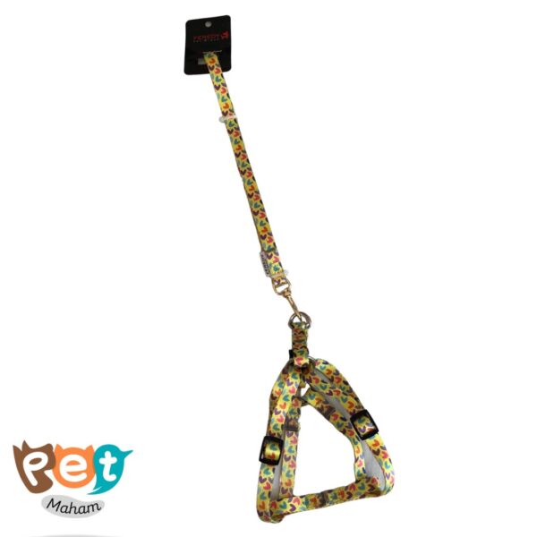 قلاده سگ و گربه طرح دار همراه با لید 1663 - تصویر 10
