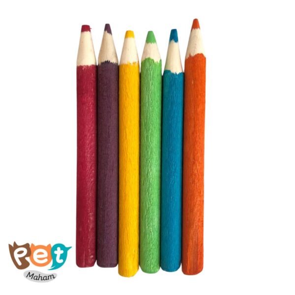 اسباب بازی چوبی پرنده مدل مداد طوطی کد 1578 (بسته 6 عددی) - تصویر 3