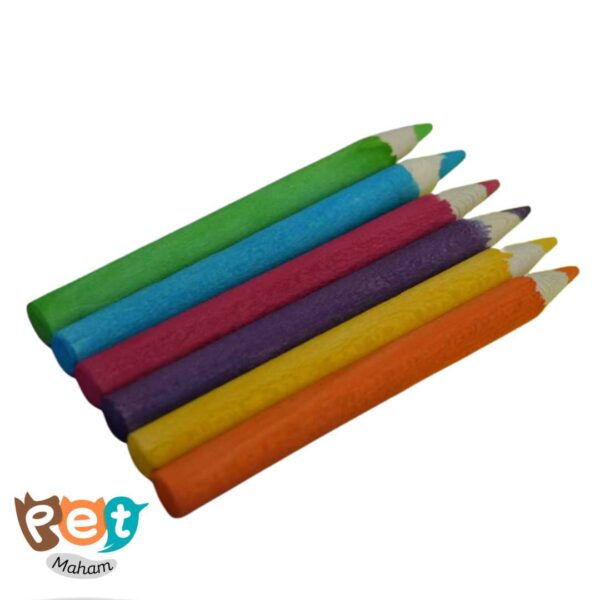 اسباب بازی چوبی پرنده مدل مداد طوطی کد 1578 (بسته 6 عددی) - تصویر 4