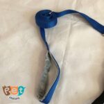قلاده سگ و گربه مناسب ۳ تا ۱2 کیلو 1665 - تصویر 7