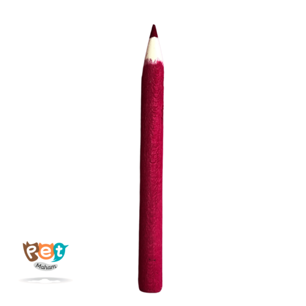 اسباب بازی چوبی پرنده مدل مداد طوطی کد 1578 (بسته 6 عددی) - تصویر 6
