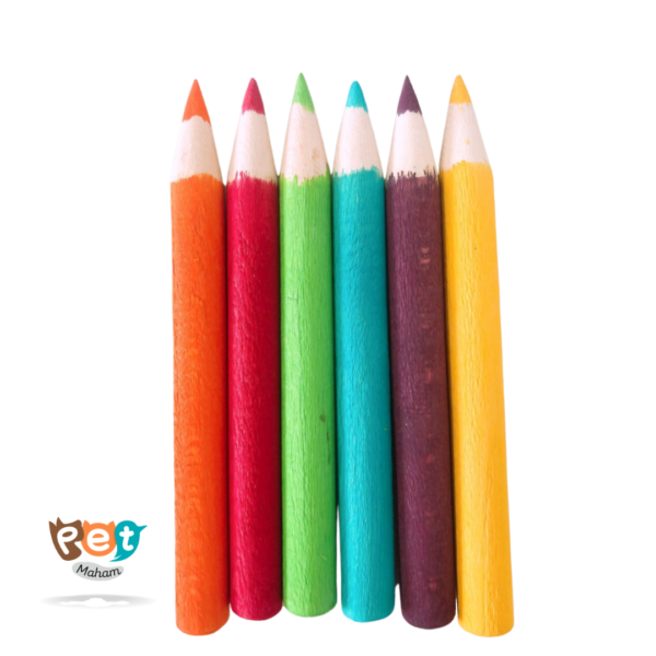 اسباب بازی چوبی پرنده مدل مداد طوطی کد 1578 (بسته 6 عددی) - تصویر 8