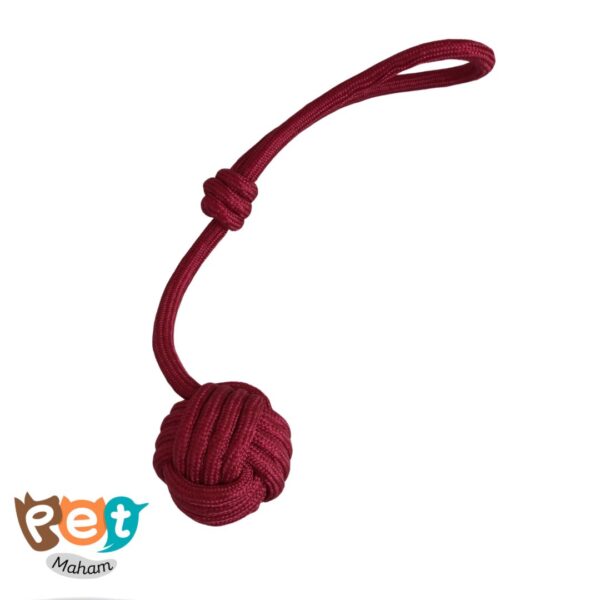 اسباب بازی حیوانات خانگی مدل توپ دسته دار مناسب سگ و گربه و جوندگان1626 - تصویر 5