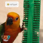 اسباب بازی پرنده  کد 1082 - تصویر 4