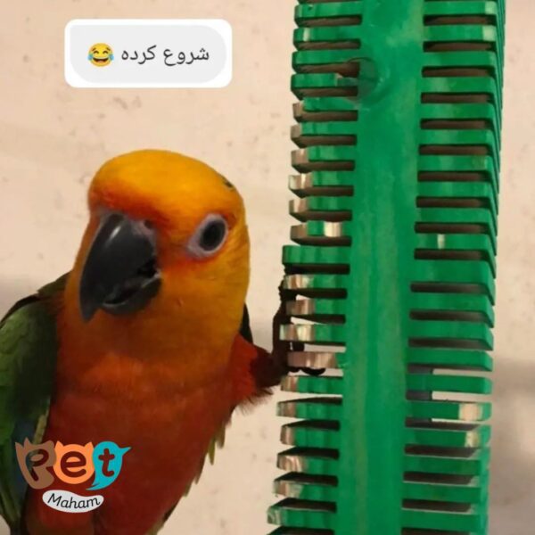 اسباب بازی پرنده  کد 1082 - تصویر 4