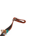 قلاده شبرنگ سگ و گربه 1666 - تصویر 5