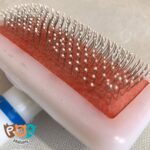 برس حیوانات خانگی مدل برس سگ و گربه و جونده 1131 - تصویر 2