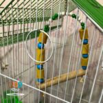 اسباب بازی پرنده مدل تاب کد 1041 - تصویر 9