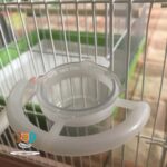 ظرف غذای پرنده مدل تخم مرغ خوری کریستال کد 1009 - تصویر 2