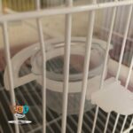 ظرف غذای پرنده مدل تخم مرغ خوری کریستال کد 1009 - تصویر 5