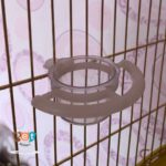 ظرف غذای پرنده مدل تخم مرغ خوری کریستال کد 1009 - تصویر 9