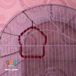 اسباب بازی پرنده مدل تاب پلاستیکی کد 1044 - تصویر 2