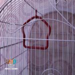 اسباب بازی پرنده مدل تاب پلاستیکی کد 1044 - تصویر 4