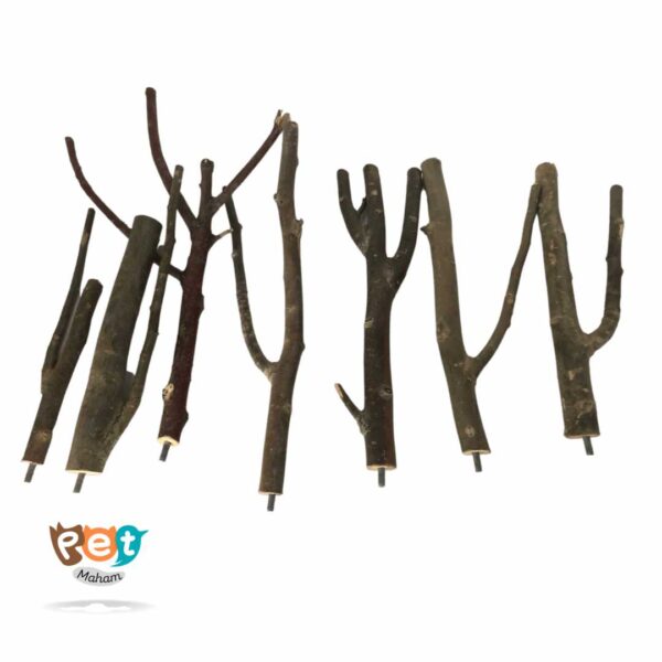 نشیمن پرنده مدل نشیمن چوبی شاخه ایی کد 1019 - تصویر 6
