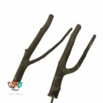 نشیمن پرنده مدل نشیمن چوبی شاخه ایی کد 1019 - تصویر 5