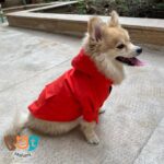 لباس سگ مدل بارانی کد1615