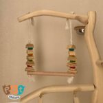 درختچه پرنده 1902 - تصویر 2