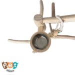 درختچه پرنده 1902 - تصویر 15