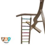 درختچه پرنده 1902 - تصویر 3