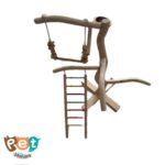درختچه پرنده 1902 - تصویر 6