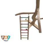درختچه پرنده 1902 - تصویر 13