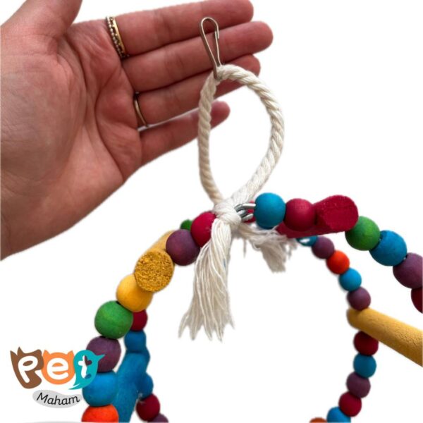 چرخ و فلک پرنده 1897 - تصویر 10