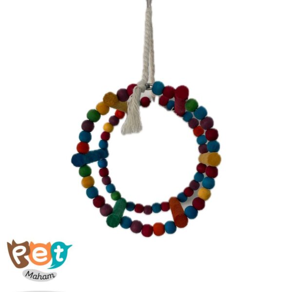چرخ و فلک پرنده 1897 - تصویر 5