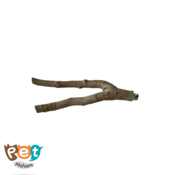 نشیمن دو شاخ پرنده 1889 - تصویر 3