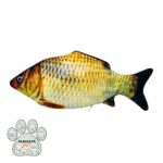 اسباب بازی سگ و گربه مدل ماهی سوتک دار وارداتی 2028 - تصویر 7