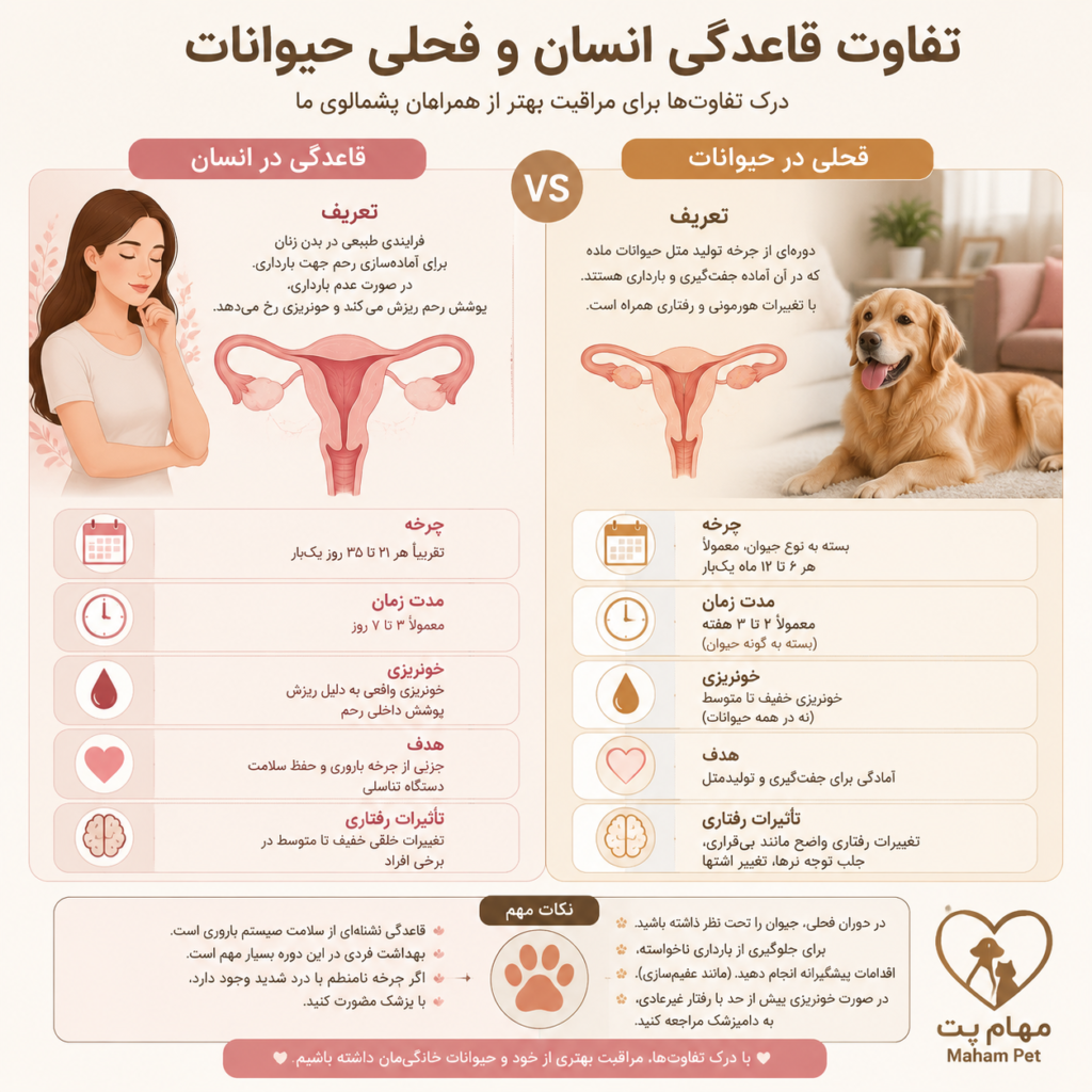 تفاوت پریودی انسان و حیوانات