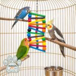 اسباب بازی جویدنی پرنده 2161 - تصویر 5