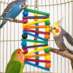 اسباب بازی جویدنی پرنده 2161 - تصویر 7
